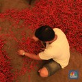 Waduh, Harga Cabai Rawit Bakal Bikin Emak-Emak Sakit Hati!