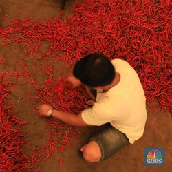 Waduh, Harga Cabai Rawit Bakal Bikin Emak-Emak Sakit Hati!
