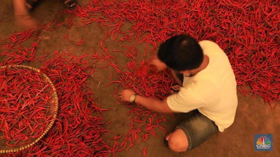 Bongkar Muat Cabai Merah di Pasar Kramat Jati (CNBC Indonesia/Tris Susilo)