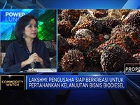 Dorong Bisnis Sawit, Gapki Butuh Insentif Infrastruktur