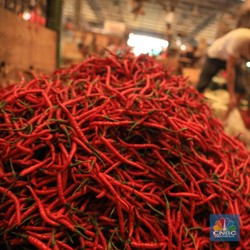 Bak Ayam Geprek, Harga Bawang Merah & Cabai Makin Pedas