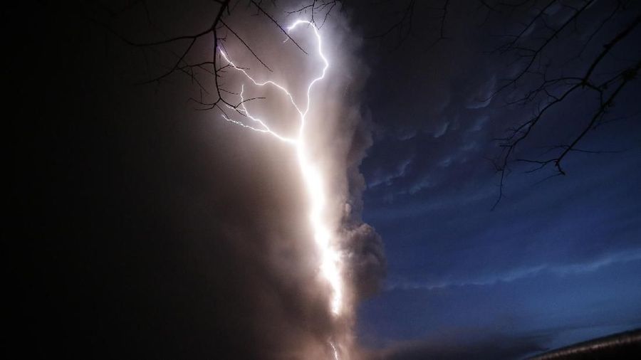 Berikut rangkaian berita foto dalam sepekan