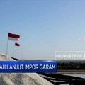 Duh, Pemerintah Lanjut Impor Garam