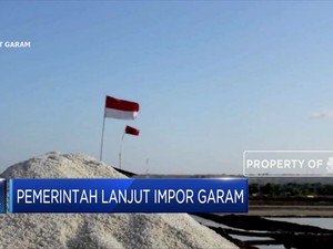 Duh, Pemerintah Lanjut Impor Garam