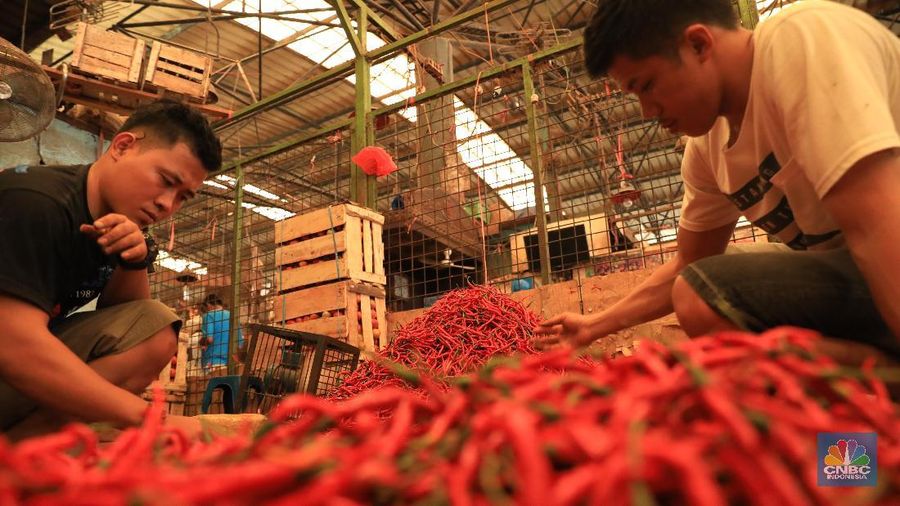 Bongkar Muat Cabai Merah di Pasar Kramat Jati (CNBC Indonesia/Tris Susilo)