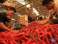 Harga Cabai-Cabaian Tak Biasanya Naik Tipis, Ada Apa?