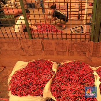 Musim Banjir, Harga Cabai Makin Pedas