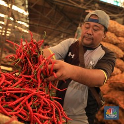 Di RI Harga Cabai Lagi Pedas, Harga Pangan Global 'Terbang'