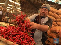 Di RI Harga Cabai Lagi Pedas, Harga Pangan Global 'Terbang'