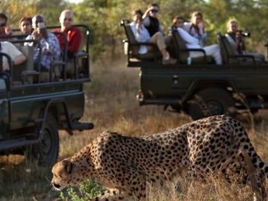 Ngeri! Keamanan Taman Nasional Kruger Diperketat, Ada 2 Turis Diduga Dibunuh