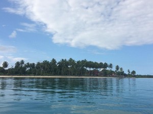 PT SPS Ternyata Belum Kantongi AMDAL hingga PBPH di Pulau Sipora