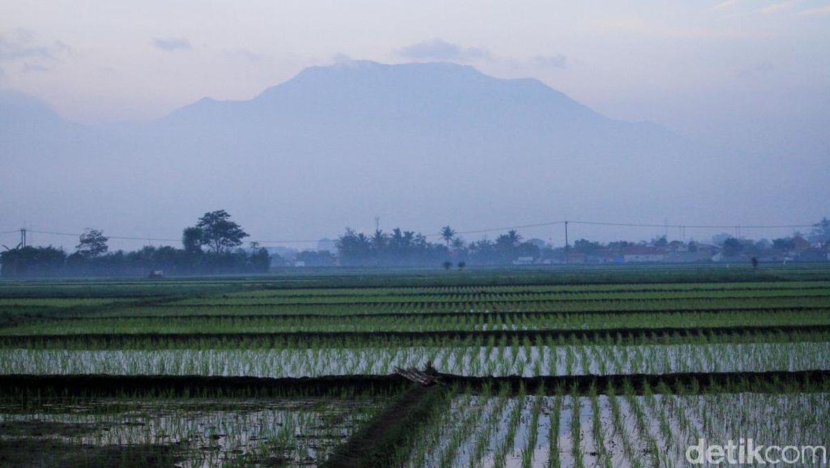 Pagi Sejuk, Siang Terik: Ini Cuaca Bandung Senin 31 Agustus 2026