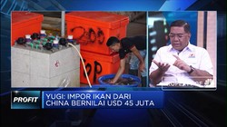 RI Impor Ikan dari China, Kadin: Penggunaanya Untuk Industri