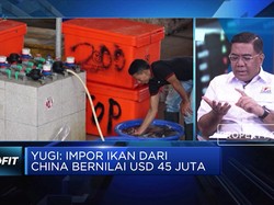 RI Impor Ikan dari China, Kadin: Penggunaanya Untuk Industri