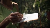 Seorang peneliti menaruh kupu-kupu di atas buku untuk kebutuhan penelitian. (Photo by FLORENT VERGNES / AFP)