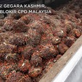 Malaysia-India Makin Hot! Bollywood Tolak Bahas CPO di Davos