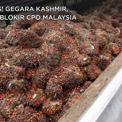 Malaysia-India Makin Hot! Bollywood Tolak Bahas CPO di Davos
