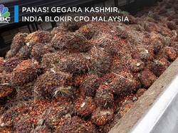 Panas! Gegara Kashmir, India Boikot CPO Malaysia
