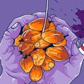 Bos Sawit Awas Merugi! India Bakal Produksi CPO Besar-Besaran