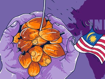 India Setop Beli CPO Malaysia?