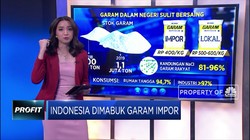 Indonesia Dimabuk Garam Impor