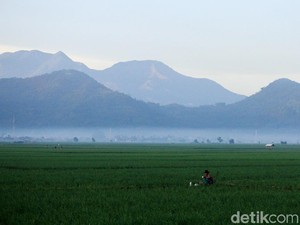 Prakiraan Cuaca Bandung Hari Ini, 22 September 2025: Berawan Seharian
