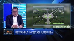 Investasi Jumbo UEA di DKI Baru, Ini Kata Stafsus Presiden