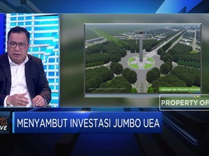 Investasi Jumbo UEA di DKI Baru, Ini Kata Stafsus Presiden