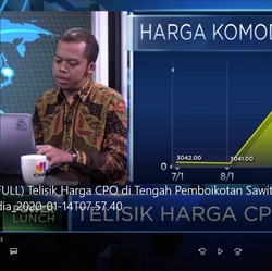 Telisik Harga CPO di Tengah Aksi India Boikot Sawit Malaysia