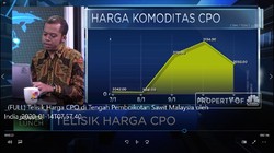 Telisik Harga CPO di Tengah Aksi India Boikot Sawit Malaysia