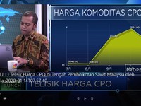 Telisik Harga CPO di Tengah Aksi India Boikot Sawit Malaysia