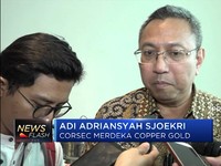 Mantan Dubes AS Jadi Komisaris Merdeka Copper