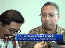 Mantan Dubes AS Jadi Komisaris Merdeka Copper