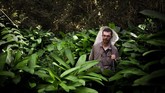 Para peneliti berspekulasi bahwa kupu-kupu raksasa mendapatkan racunnya ketika ulatnya memakan daun Strophanthus gratus. (Photo by FLORENT VERGNES / AFP)