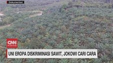VIDEO: Jokowi Kritik Uni Eropa soal Sawit
