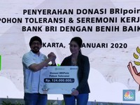 Mau Hijaukan Bumi, Ayo Tukar BRI Poin Jadi Pohon