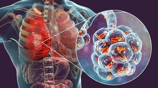 Korea Selatan Konfirmasi Infeksi Coronavirus Misterius China