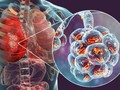 Korea Selatan Konfirmasi Infeksi Coronavirus Misterius China