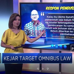 Kejar Target Omnibus Law