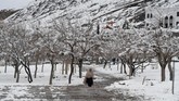 Cuaca buruk yang ditandai dengan bencana tanah longsor, banjir, hingga musim dingin tengah menimpa Pakistan dan Afghanistan dalam beberapa hari terakhir. (Photo by Banaras KHAN / AFP)