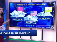 Garam Kok Impor