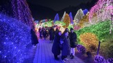 Festival cahaya Garden of Morning Calm berlangsung dari musim dingin hingga musim semi setiap tahunnya. (AFP/Ed Jones)