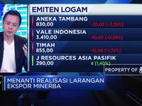 Strategi AETI Dorong Peningkatan Kinerja Industri Timah