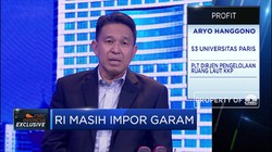 RI Akan Impor Garam 2,9 Juta Ton, KKP Jelaskan Alasannya