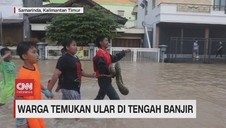 VIDEO: Warga Temukan Ular Piton Ditengah Banjir