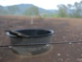 VIDEO: Hujan Akhirnya Turun di Australia