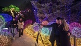 Di pagi hari saat musim dingin, Taman Garden of Morning Calm bakal diselimuti salju bak dalam film animasi 'Frozen'. (AFP/Ed Jones)