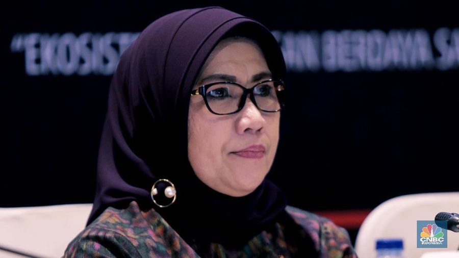 Wakil Ketua Dewan Komisioner OJK Nurhaida (CNBC Indonesia/Tri Susilo)
