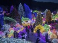 FOTO: Ketika Taman di Gapyeong Bercahaya