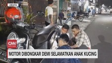 VIDEO: Motor Dibongkar demi Selamatkan Anak Kucing